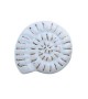 Bouton de meuble Ammonite en porcelaine - Boutons Mandarine