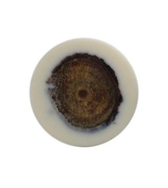 Bouton de meuble Wood rond en bois et résine - Boutons Mandarine