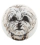 Bouton de meuble porcelaine motif chien - Boutons Mandarine
